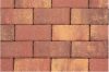 Leier Piazza térkő őszilomb 10x20cm 6cm