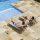 Del Conca Mr. Floor Stone padlólap arany 60x60x18mm